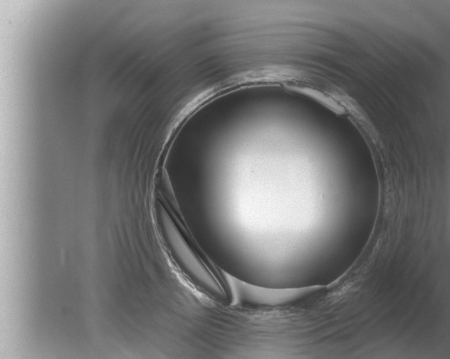 X0000080130850200612221855