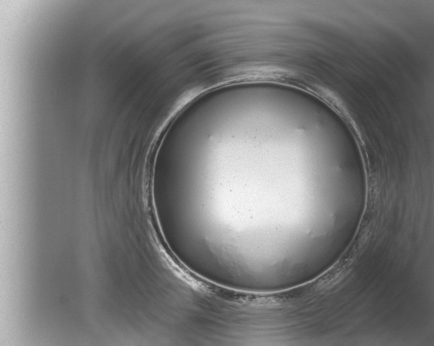 X0000080130851200612221855