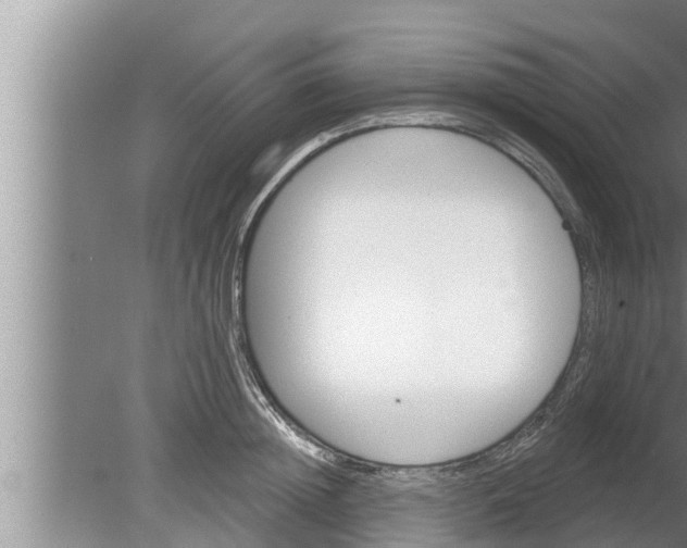 X0000080130852200612221855