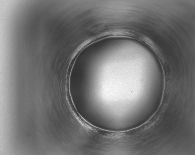 X0000080130853200612221855