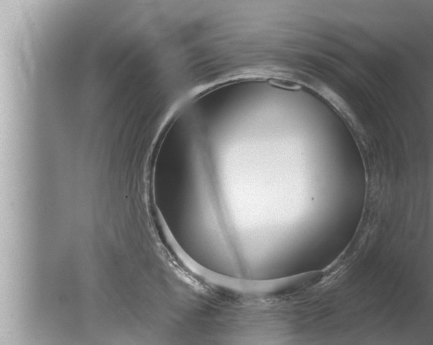 X0000080130854200612221855