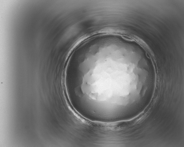 X0000080130855200612221855