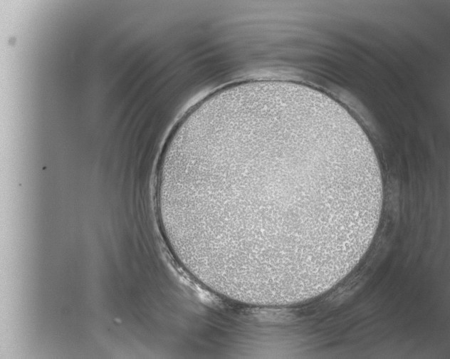 X0000080130856200612221855