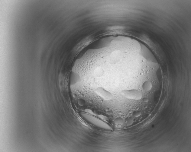 X0000080130857200612221855