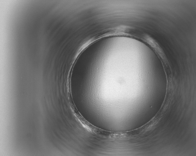 X0000080130858200612221855