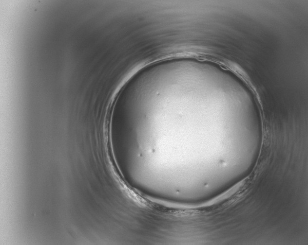 X0000080130859200612221855