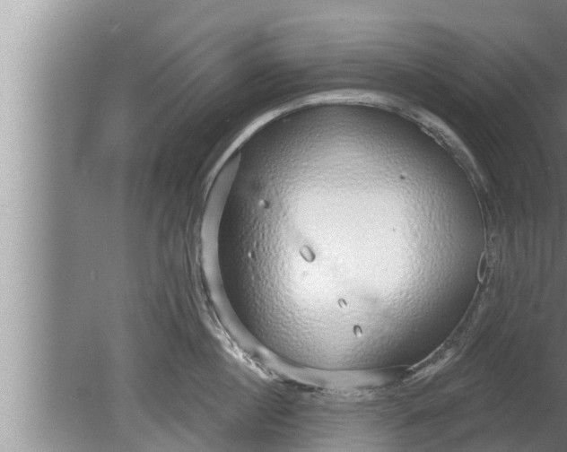 X0000080130860200612221855