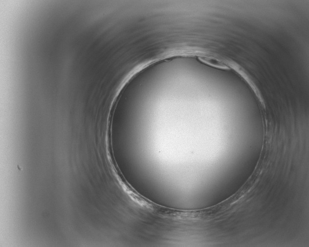 X0000080130861200612221855