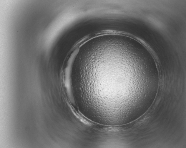 X0000080130862200612221855