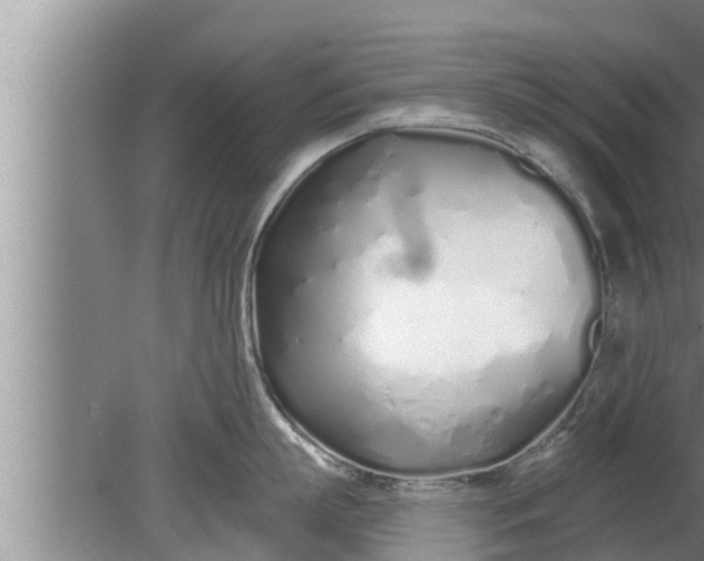 X0000080130863200612221855