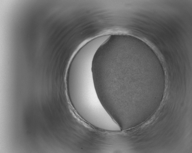 X0000080130864200612221855