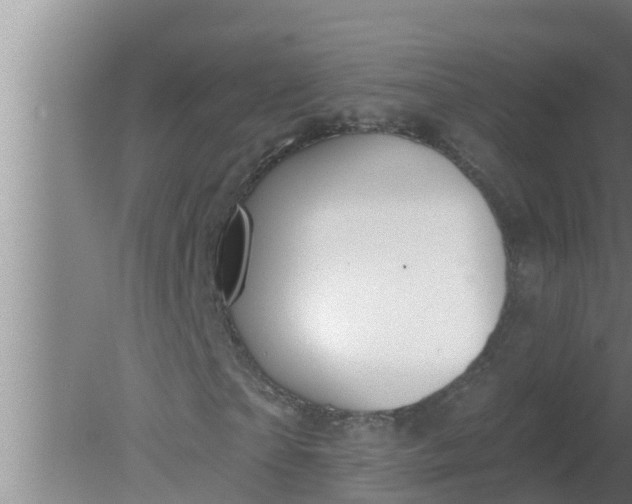 X0000080130865200612221855