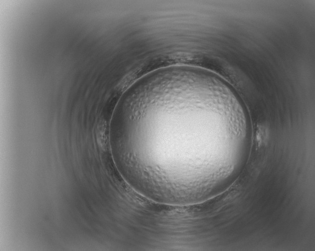 X0000080130867200612221855