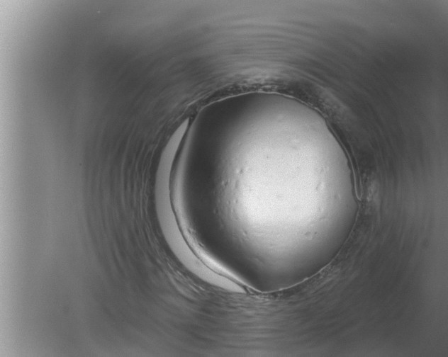 X0000080130868200612221855