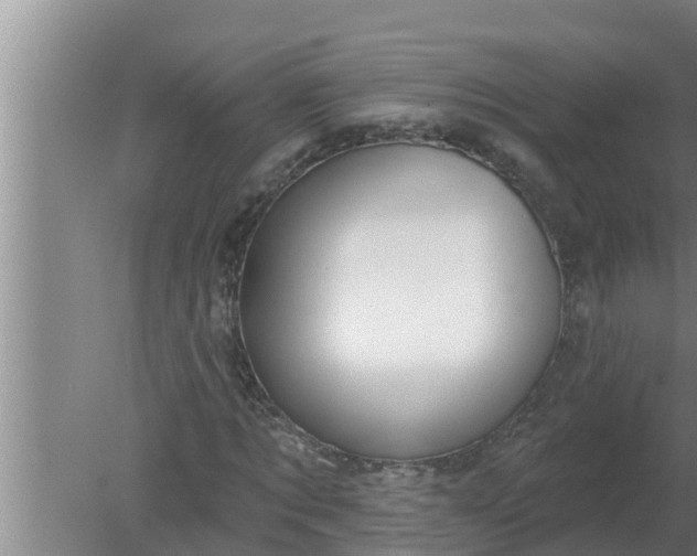 X0000080130869200612221854