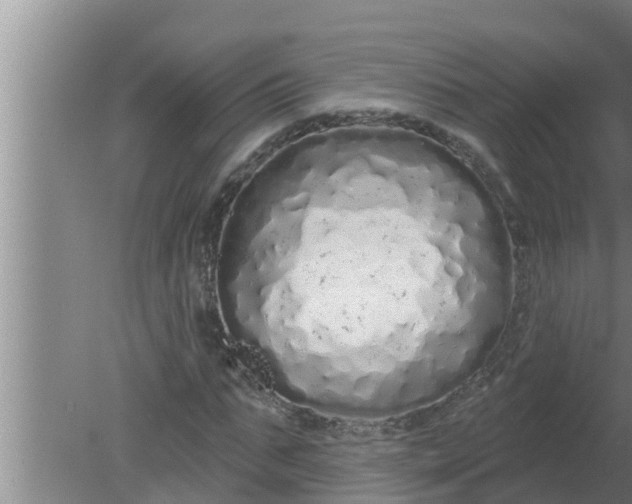 X0000080130871200612221854