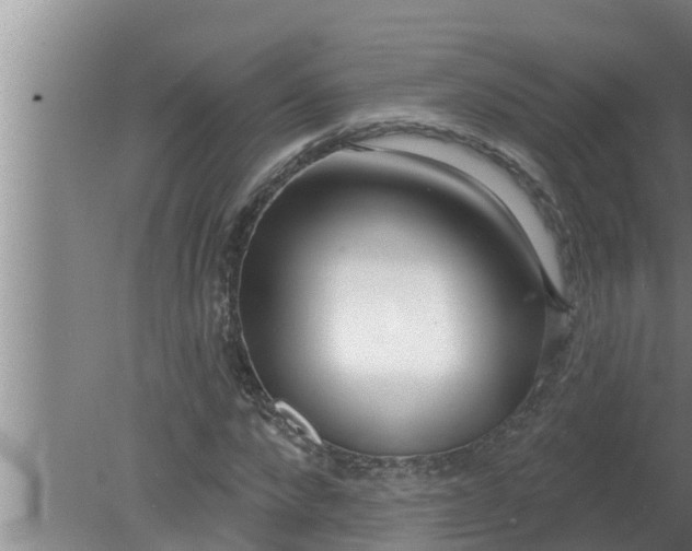 X0000080130872200612221854