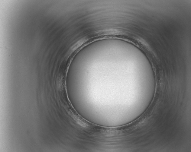 X0000080130873200612221854