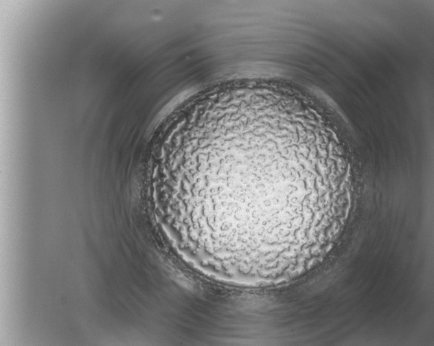 X0000080130874200612221854