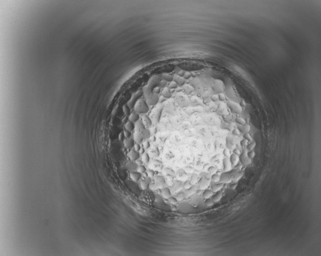 X0000080130875200612221854