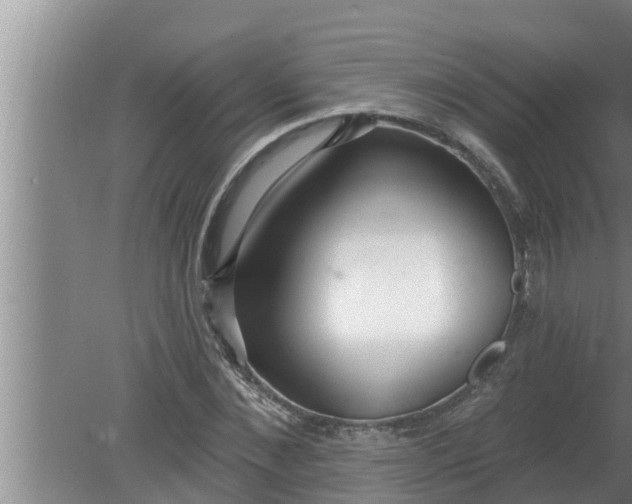 X0000080130876200612221854