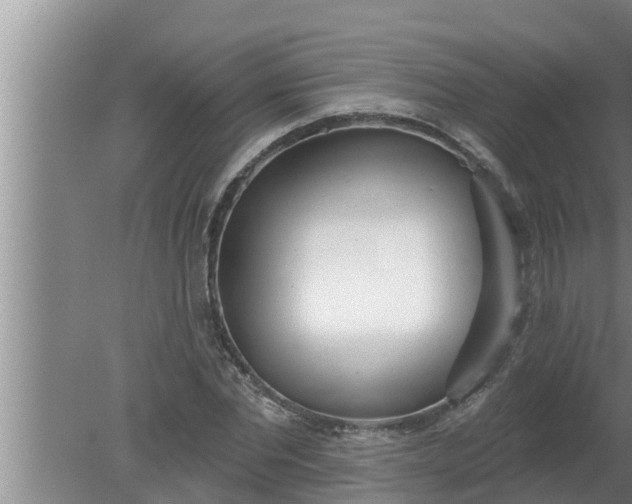 X0000080130877200612221854