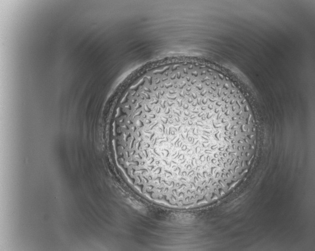 X0000080130878200612221854