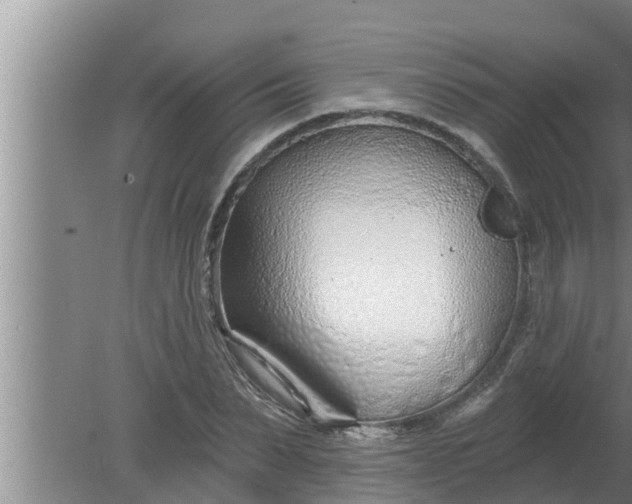 X0000080130879200612221854