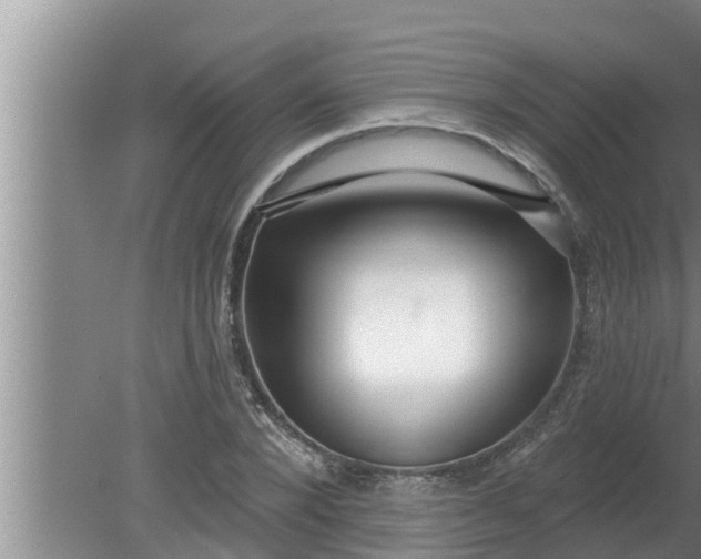 X0000080130880200612221854