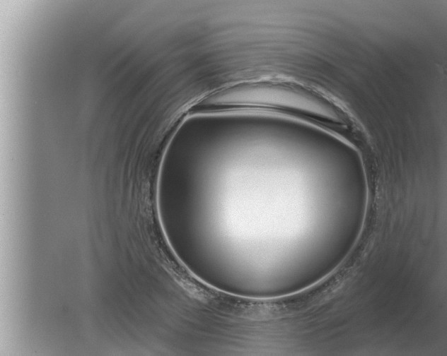 X0000080130881200612221854