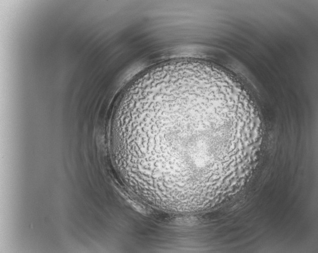 X0000080130882200612221854