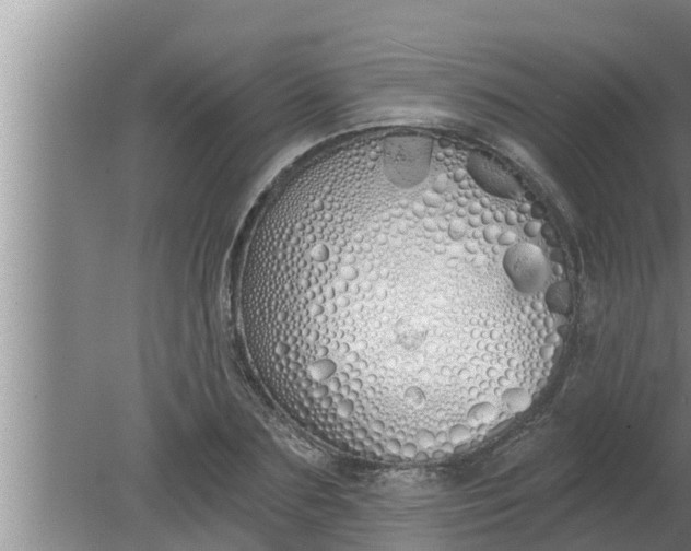 X0000080130883200612221854