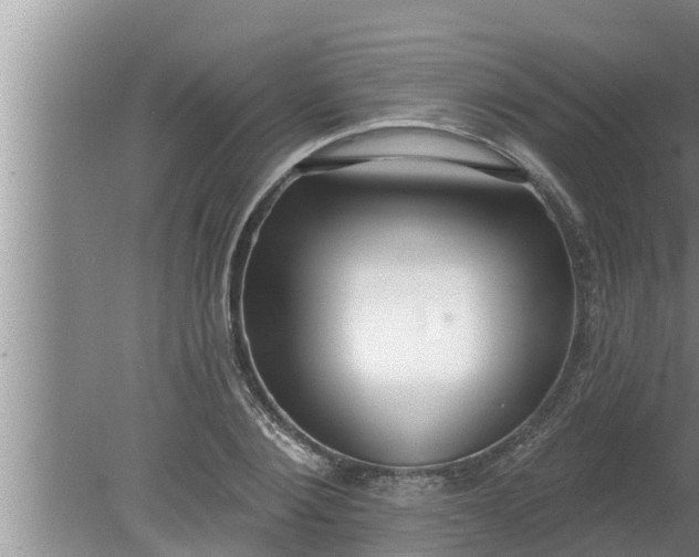 X0000080130884200612221854