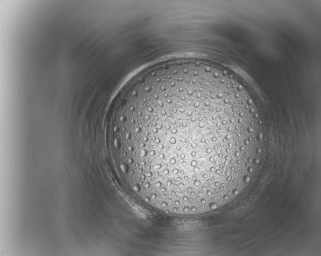 X0000080130886200612221854