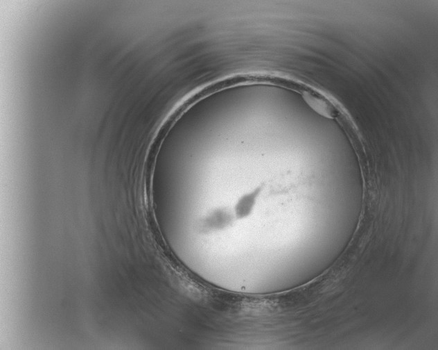 X0000080130887200612221854