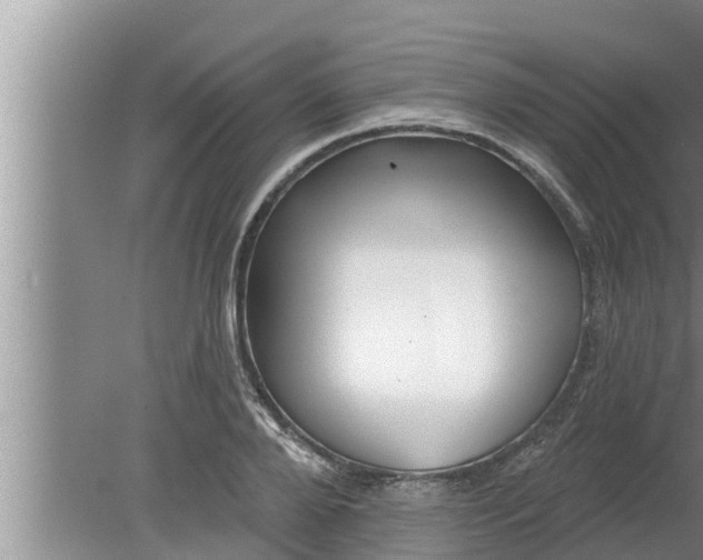 X0000080130888200612221854