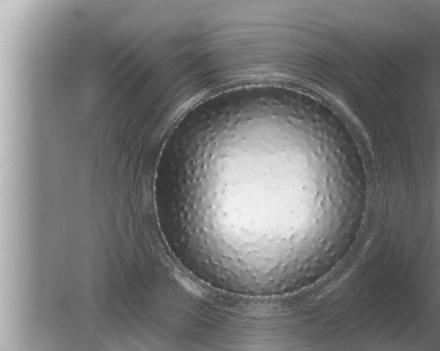 X0000080130889200612221854