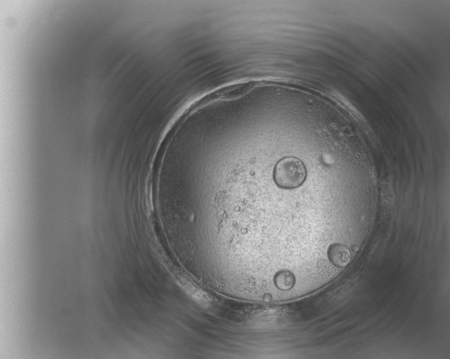 X0000080130891200612221854