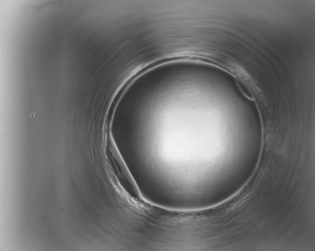 X0000080130892200612221854