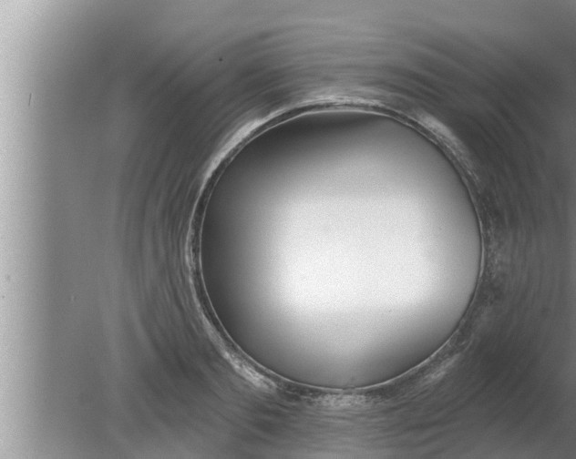 X0000080130893200612221854