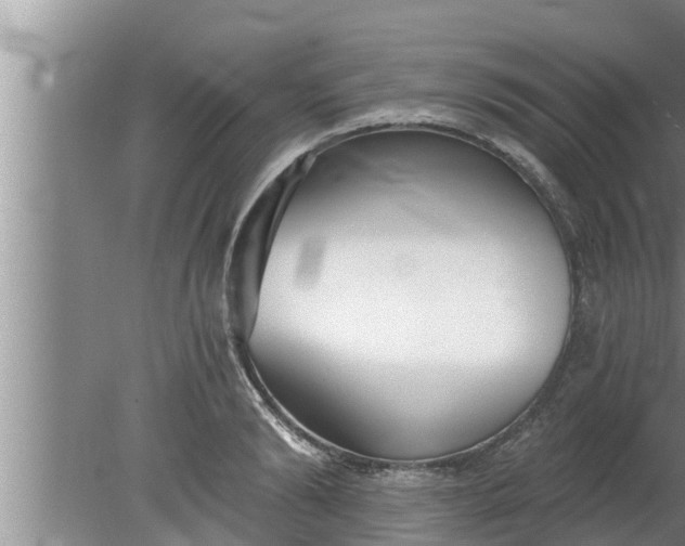 X0000080130894200612221854