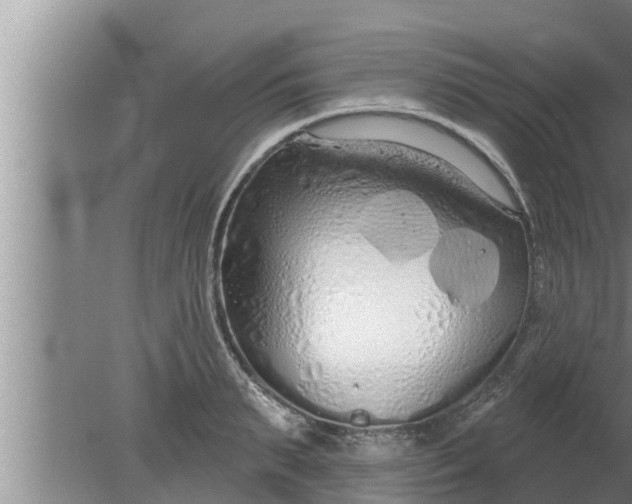 X0000080130895200612221854