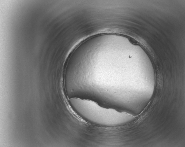 X0000080130896200612221854