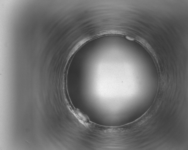 X0000080130898200612221854