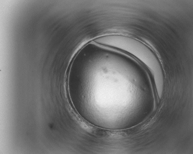 X0000080130899200612221854