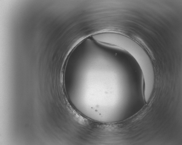 X0000080130900200612221854