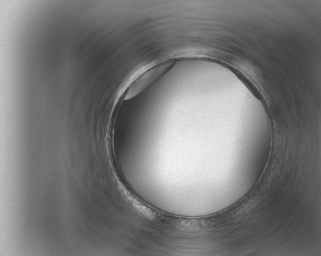 X0000080130901200612221854