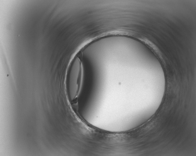 X0000080130902200612221854