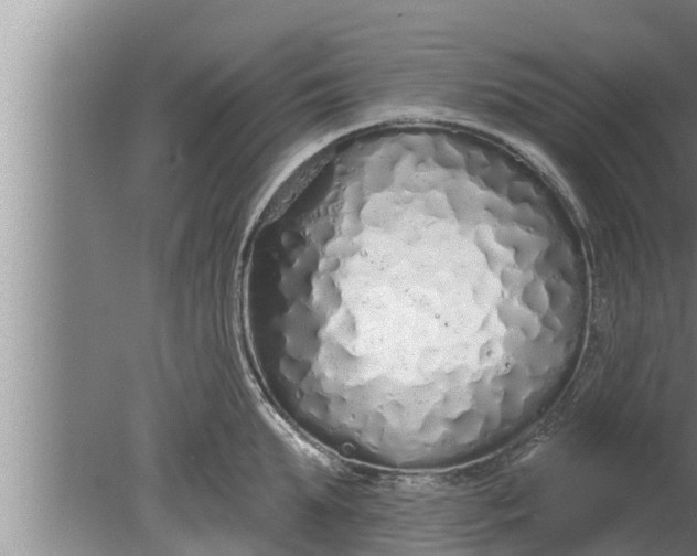 X0000080130903200612221854