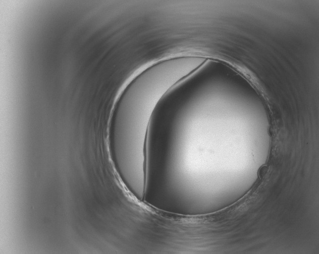 X0000080130904200612221854